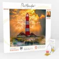 Lesen Picmondoo GmbH Bewertungen